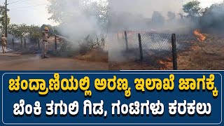 #honnavara : ಚಂದ್ರಾಣಿಯಲ್ಲಿ ಅರಣ್ಯ ಇಲಾಖೆ ಜಾಗಕ್ಕೆ ಬೆಂಕಿ ತಗುಲಿ ಗಿಡ, ಗಂಟಿಗಳು ಕರಕಲು