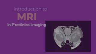 Explained: Preclinical Multimodal Imaging - MRI