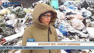 Мусорят все, платят немногие: пригород Перми тонет в помоях