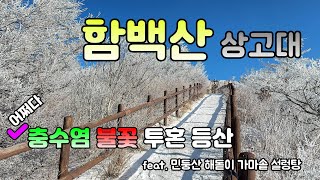 충수염 불꽃 투혼 함백산 상고대/16년만의 함백산 정상/가마솥 설렁탕