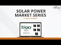 Solar Power Market Series with Tigo | RENVU