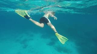 Amazing Snorkeling! Heron Island on 13.4.2018