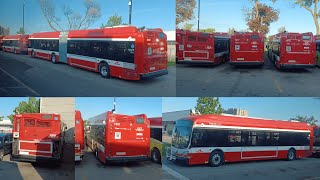 (NEW BUSES) TTC Bus Action and Ride Through Mount Dennis Division