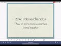 64: Polysaccharides