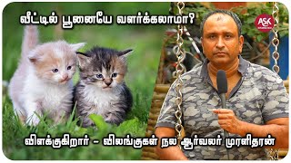 வீட்டில் பூனை வளர்ப்பது நல்லதா? கெட்டதா? | Cat Care | Pets Animals | வளர்ப்பு பிராணி | Dog Care