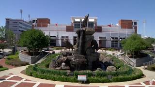 NC State Campus Life