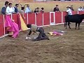 torero ridiculo