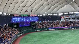 【野球/baseball】読売ジャイアンツ対中日ドラゴンズのスタメン発表in東京ドーム2023.7.30現地映像