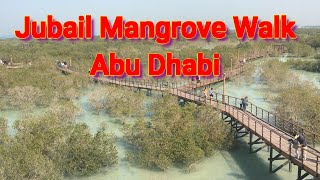 Abu Dhabi Mangrove Park Walk | Al Jubail Mangrove Park | The Albertos TV