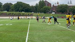 Steelers Training Camp Highlights: LB and DB Work