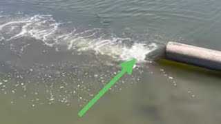 Unplugged A Culvert And Something Crazy Happened