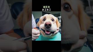 【歯医者あるある】 #shorts #ai #AIイラスト #犬  #dog #VOICEVOX:ずんだもん #歯医者 #ペット