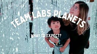 Team Lab Planets Tokyo | What to expect inside, visiting with kids