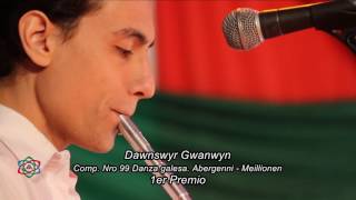 2015 Comp. 99 Primer premio - Dawnswyr Gwanwyn