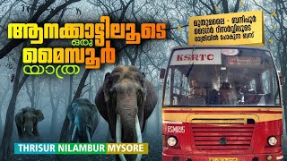 Thrissur To Mysore KSRTC Bus Trip via Mudumalai - Bandipur Tiger Reserve | Mysore Bus |  മൈസൂർ ബസ്