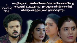 രേവതിയുടെയും സച്ചിയുടെയും ജീവിതത്തിൽ വീണ്ടും വിള്ളലുകൾ