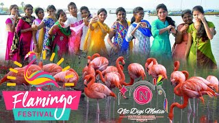 AP TOURISM / PULICAT LAKE / FLEMINGO FESTIVAL / ஆந்திர சுற்றுலா / பழவேற்காடு ஏரி / செந்நாரை விழா