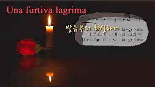 Una Furtiva Lagrima *완벽레슨.3회반복 (이태리어/한글독음/이태리어) ▶ 남몰래 흐르는 눈물