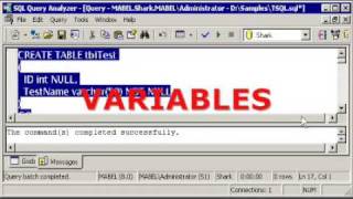SQL SERVER Tutorial - T-SQL: BATCHES - Variables