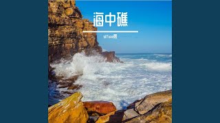 海岛相遇