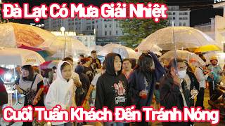 Đà Lạt Cơn Mưa Vàng Giải Tỏa Cái Nóng, Chợ Đêm Cuối Tuần