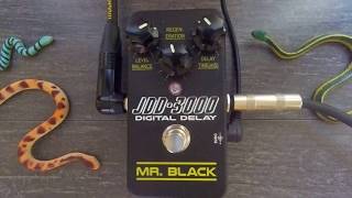 Mr. Black JDD-3000 Digital Delay - 2min Pedal Demo