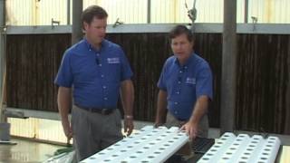 Hydroponics - Nutrient Film Technique