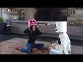 Selena Gomez ft. Marshmello - Wolves Ringtone