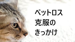 ペットを死なせてしまった後悔や罪悪感から立ち直ったきっかけ。ペットロス克服の切っ掛け