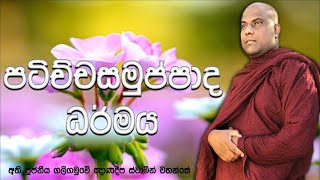 දුකට පත් වෙවී, සසරේ ඉපදි ඉපදී අපි යන හේතුව මෙයයි | Galigamuwe Gnanadeepa Thero