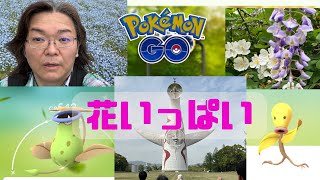 【ポケモンGO】マダツボミコミュニティデイは万博記念公園でリアルな花いっぱいの中でやりました🌼🌸🌻【ネモフィラ】