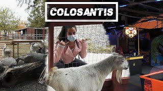 FOLLOW US AROUND: Colasantis Adventures