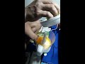 repairing citrus juicer