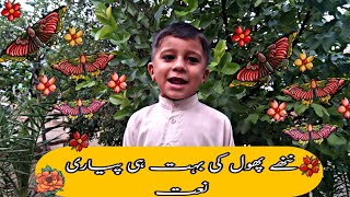 Heart Touching Naat Sharif | haq Nabi haq Nabi | بچے نےنعت پڑھ کردل ہلا دیا