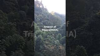 Amazon of tripura( northeast India 🇮🇳) 23/06/2024##