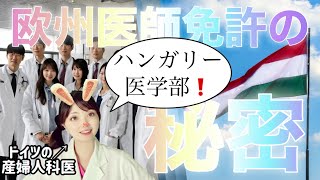 【知らなきゃ損】ハンガリー医学部のメリットを徹底解説！欧州医師免許を楽に取得！