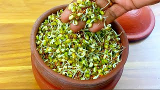 தானியங்களை முளை கட்டுவது எப்படி? - How to grow sprouts at home? #lentils#sprouts#healthysnacks