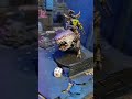 orks vs custodes warhammer 40k in 40 sec battle report