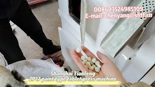 ZP15 ZP17 ZP9 paint type rotary tablet press machine