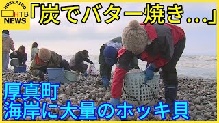 「炭でバター焼きするのが一番」北海道厚真町の海岸に大量のホッキ貝が打ちあがる　しけによる影響か