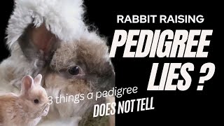 3 things a rabbit pedigree hides