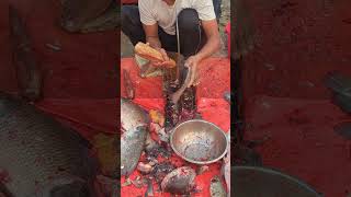 AMAZING FISH CUTTING SKILLS  185