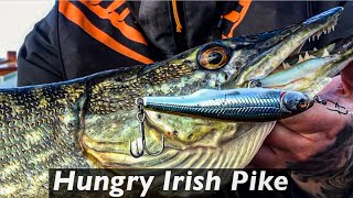 Trolling for Trout in Ireland but the Pike had other plans ! Hungry Irish Pike