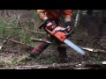 [Bonus Video] Forest Thinning - 6min 30sec UNCUT