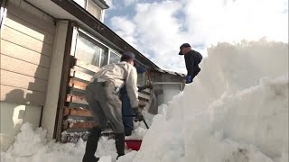 「例年に比べ雪が多く大変…」　高齢者宅で除雪ボランティアに汗　秋田・大館市 (25/01/20 11:00)