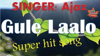 Gule lalo kashmiri  Super hit song 2024 / Koshur Music