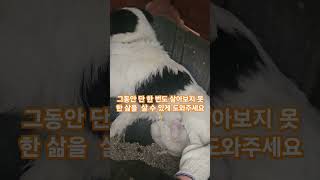 🚨자연사위험🚨진짜 가족을 찾습니다#강아지 #유기견 #유기견보호소