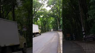 green village forest welcome gate |green nilambur|green kerala