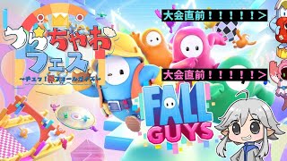 【スナイプ参加型FallGuys】つらちゃおフェス大会前直前練習会！