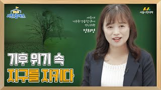 [TALK! 시민클래스] 기후 위기 속 지구를 지키다  | 세종대 기후환경융합센터 정희정 연구위원